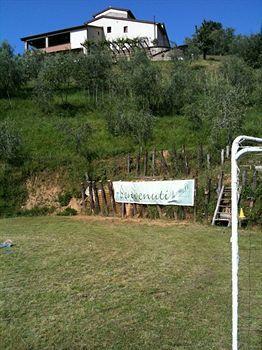 B&B Hotel La Piana Bauernhof Borgo a Buggiano