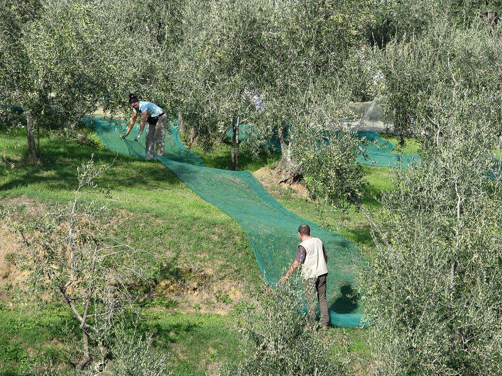 B&B Hotel La Piana Bauernhof *