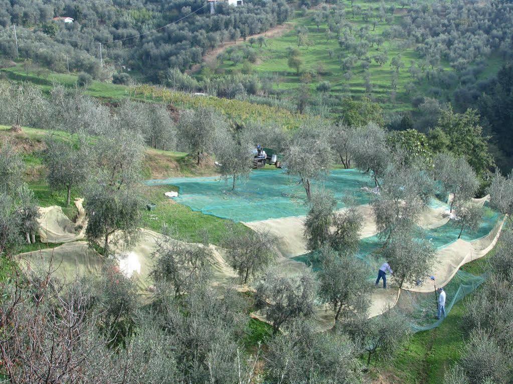 Farm stay B&B Hotel La Piana